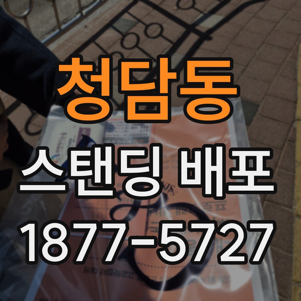 청담동 스탠딩 배포
