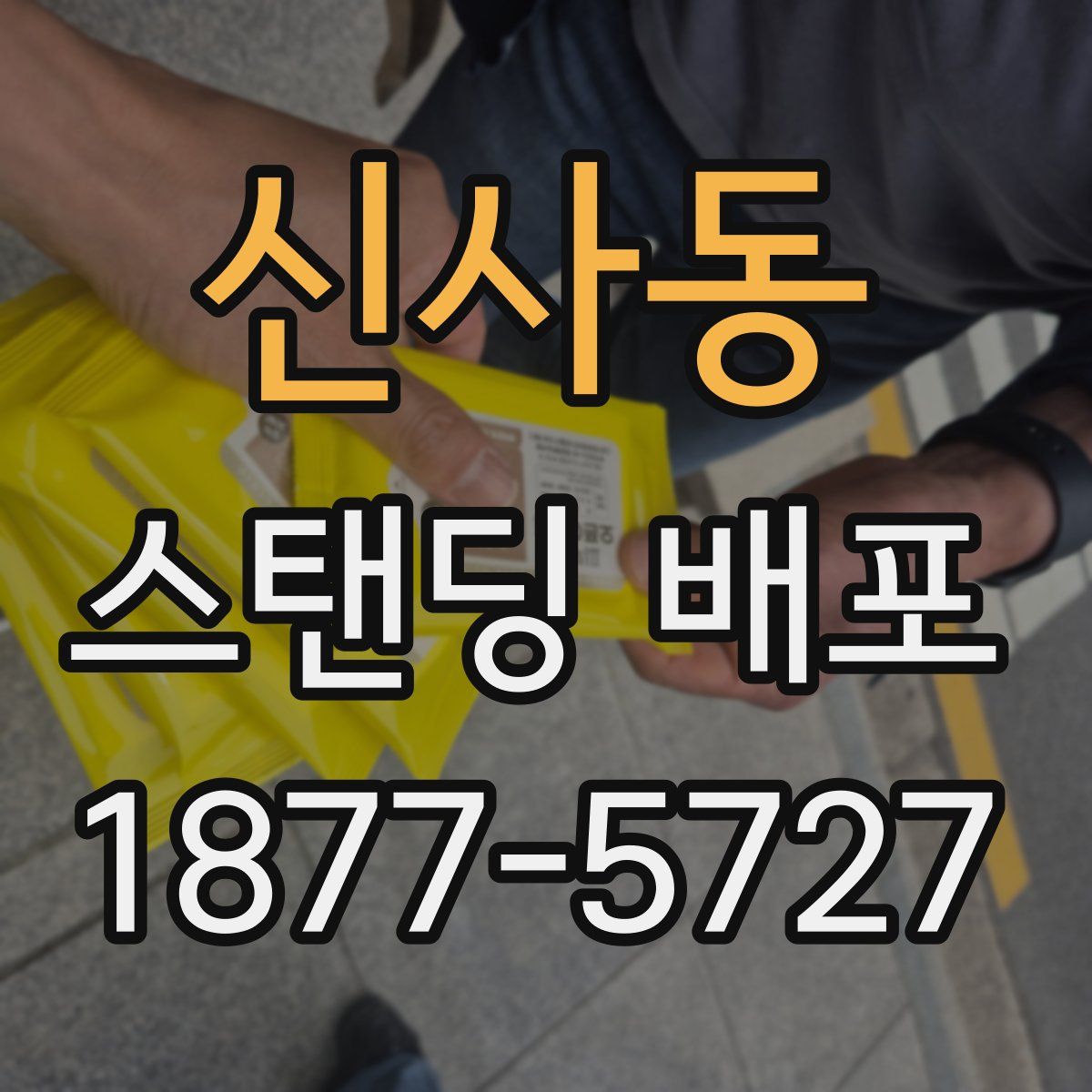신사동 스탠딩 배포