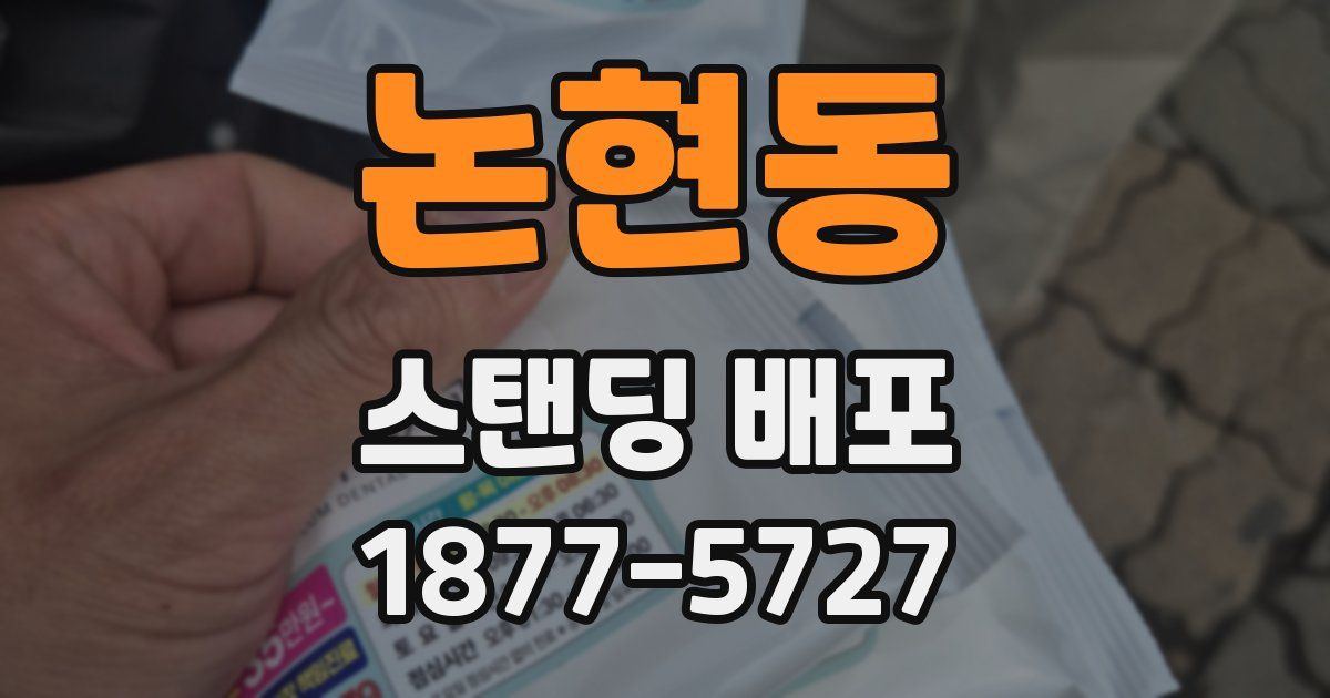 논현동 스탠딩 배포