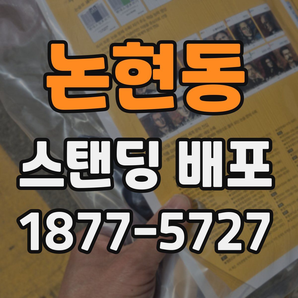 논현동 스탠딩 배포