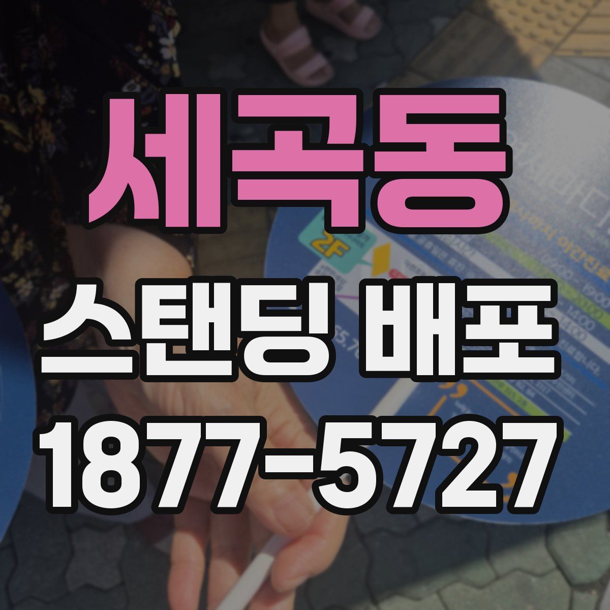 세곡동 스탠딩 배포