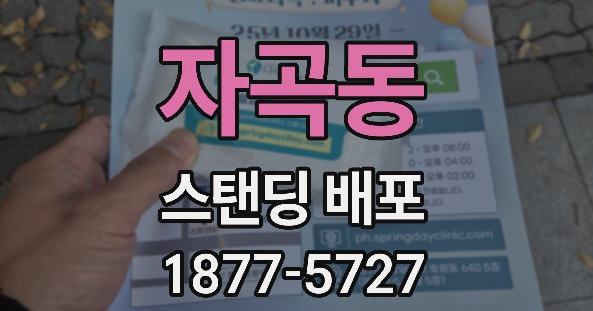 자곡동 스탠딩 배포