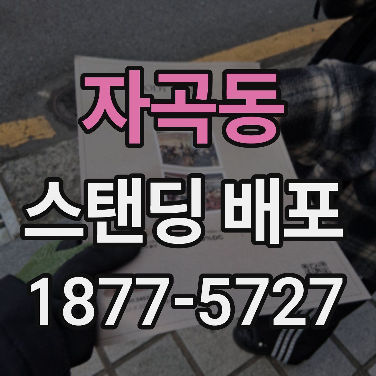 자곡동 스탠딩 배포