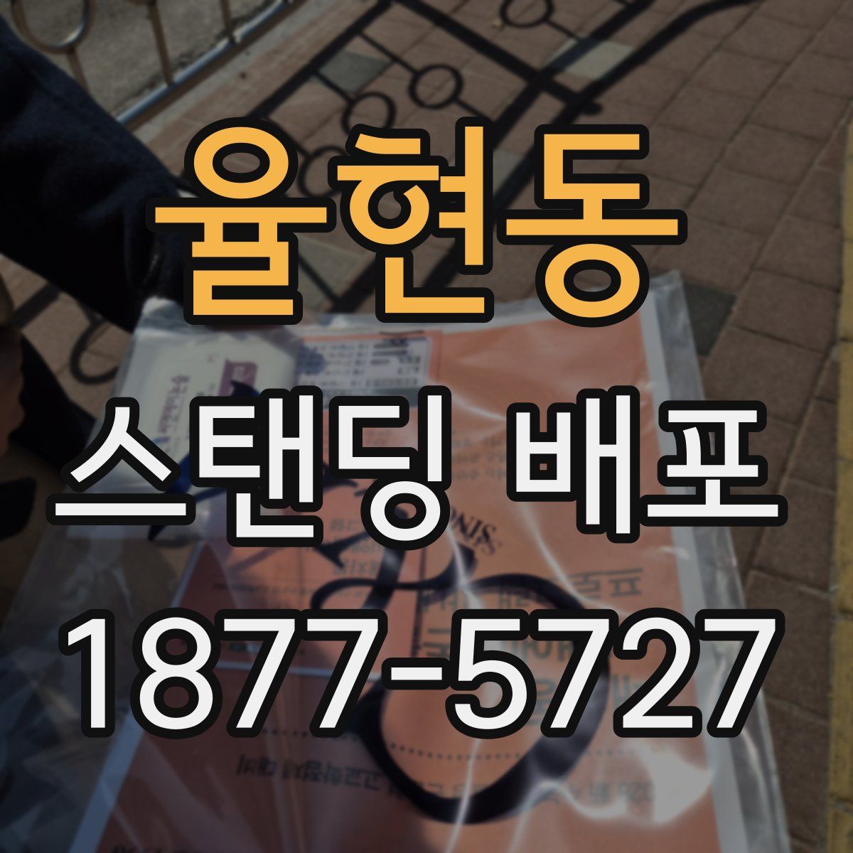 율현동 스탠딩 배포
