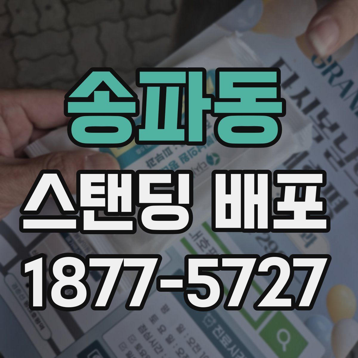 송파동 스탠딩 배포