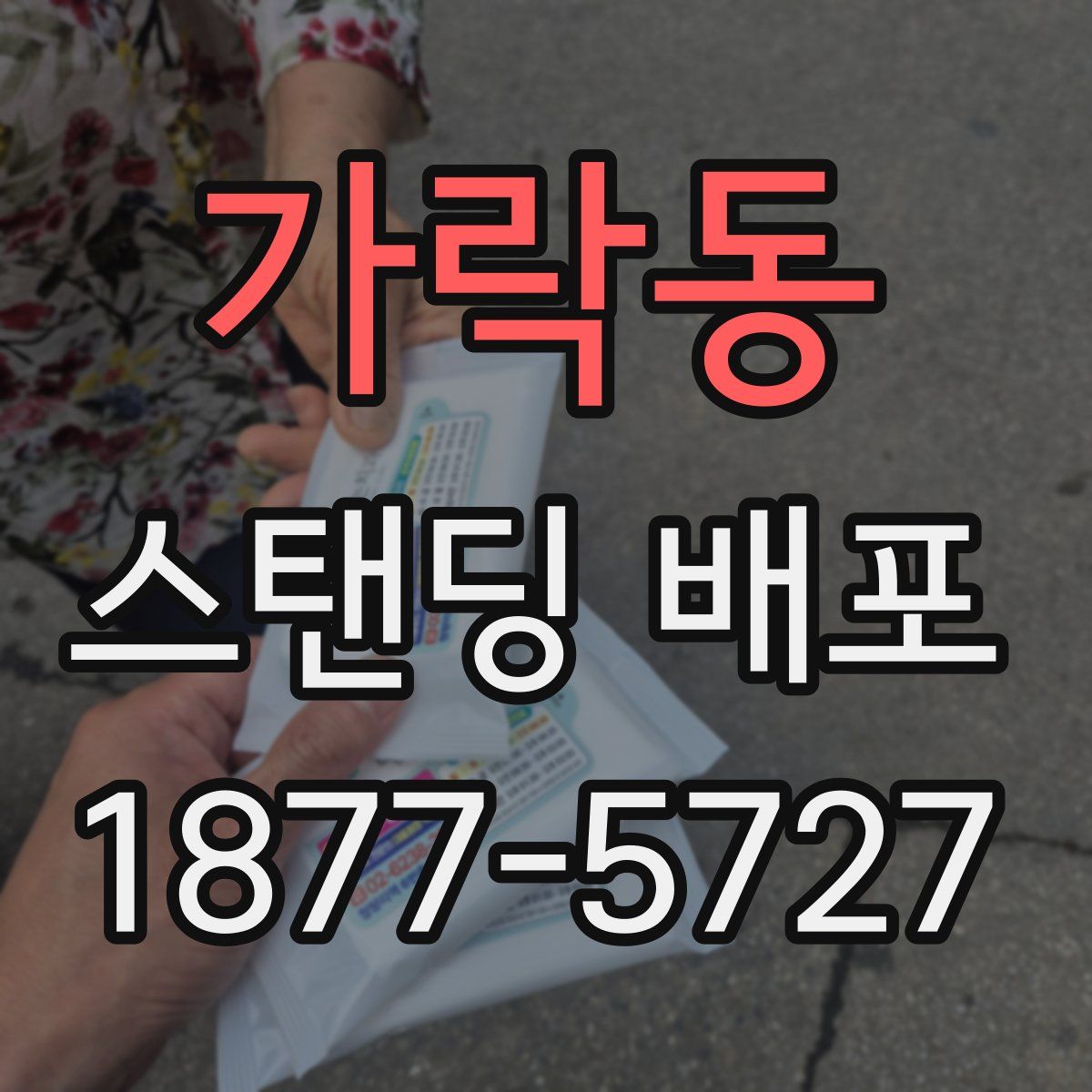 가락동 스탠딩 배포