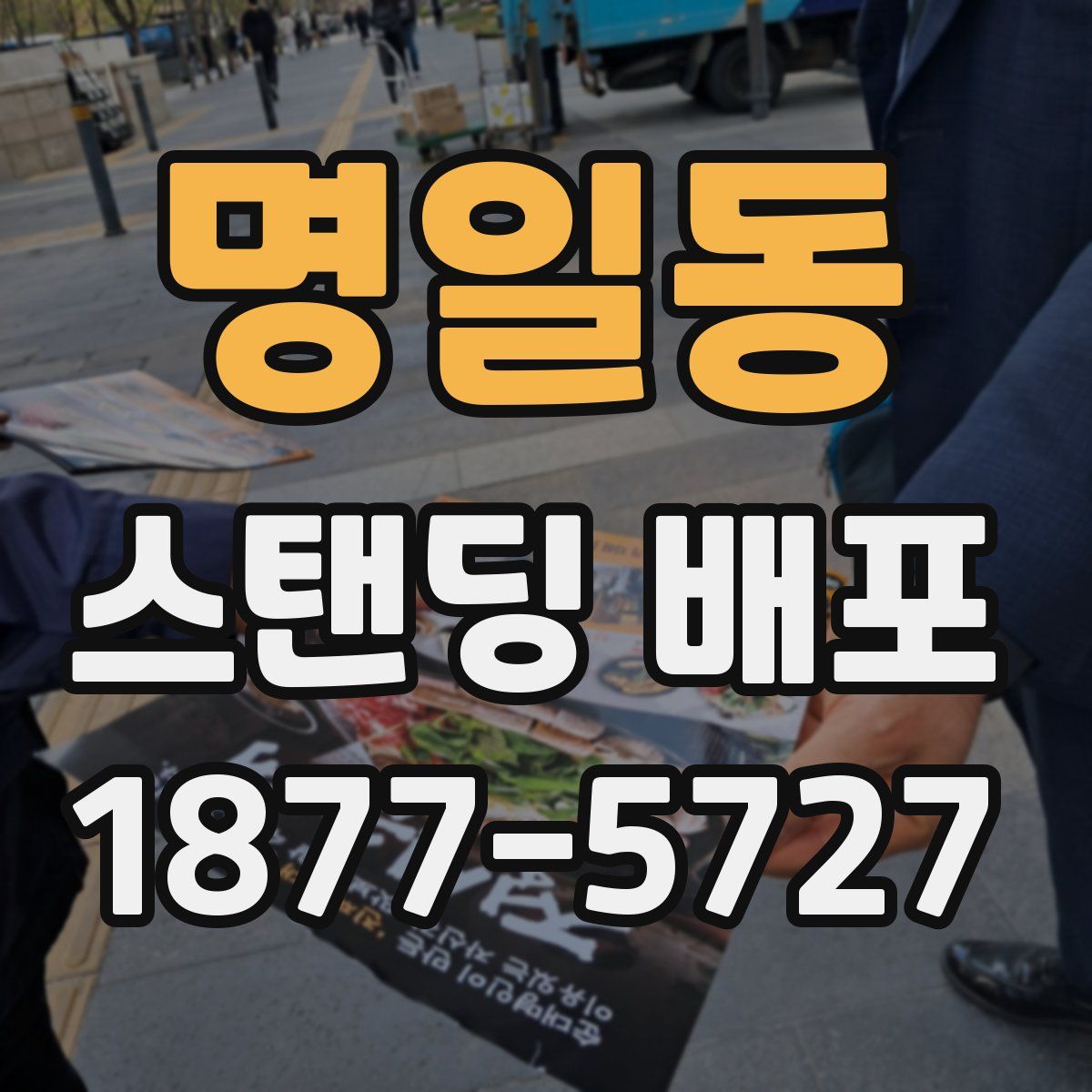 명일동 스탠딩 배포