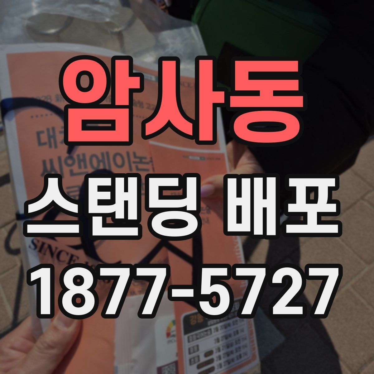 암사동 스탠딩 배포