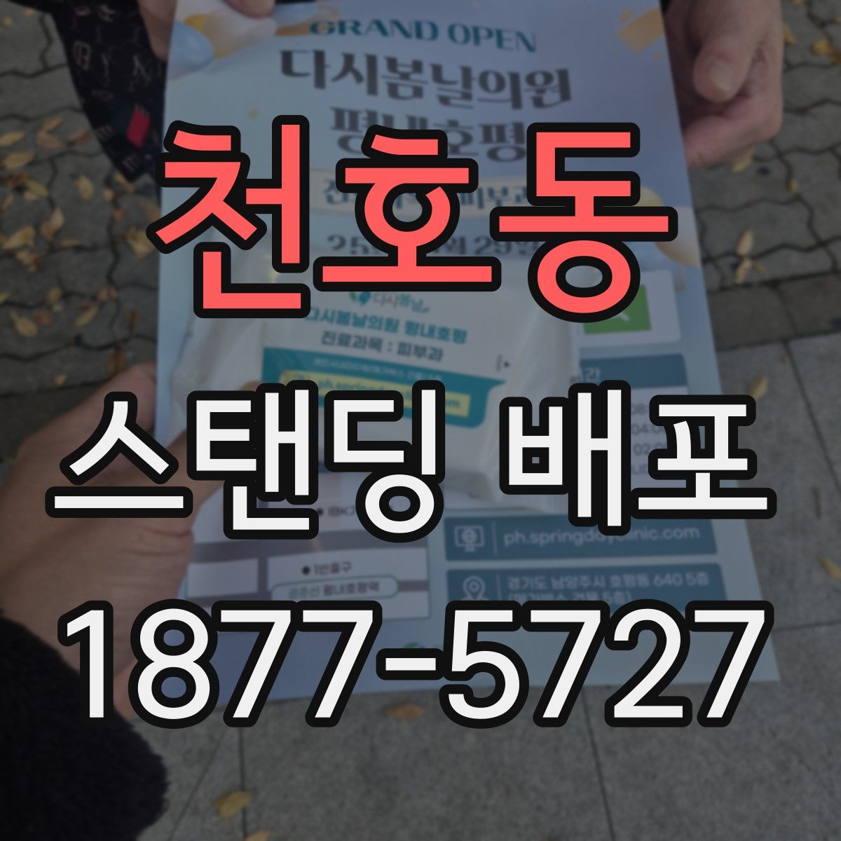 천호동 스탠딩 배포