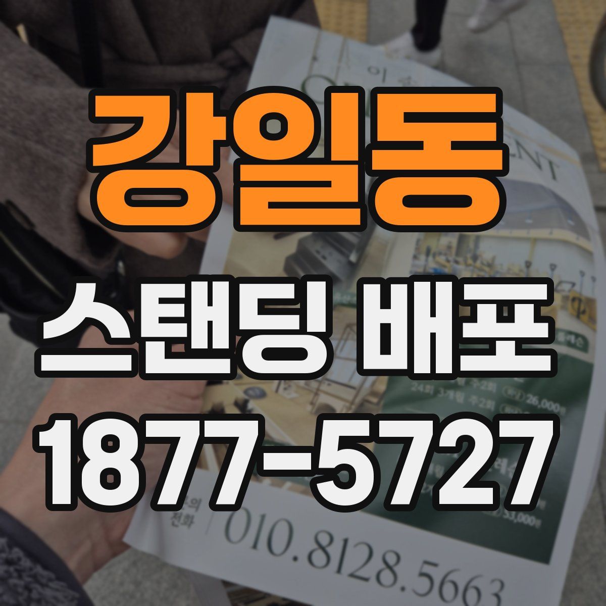 강일동 스탠딩 배포