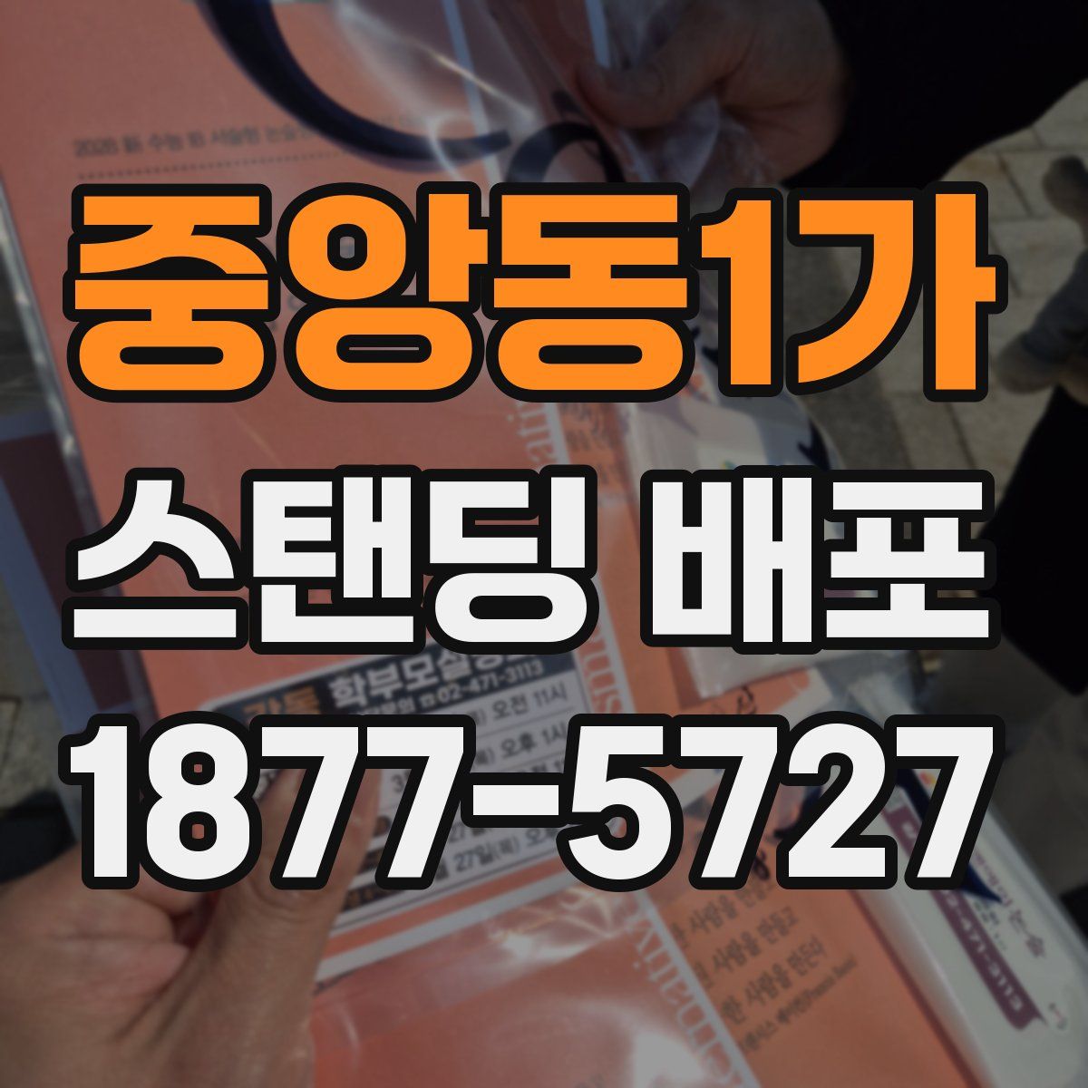 중앙동1가 스탠딩 배포