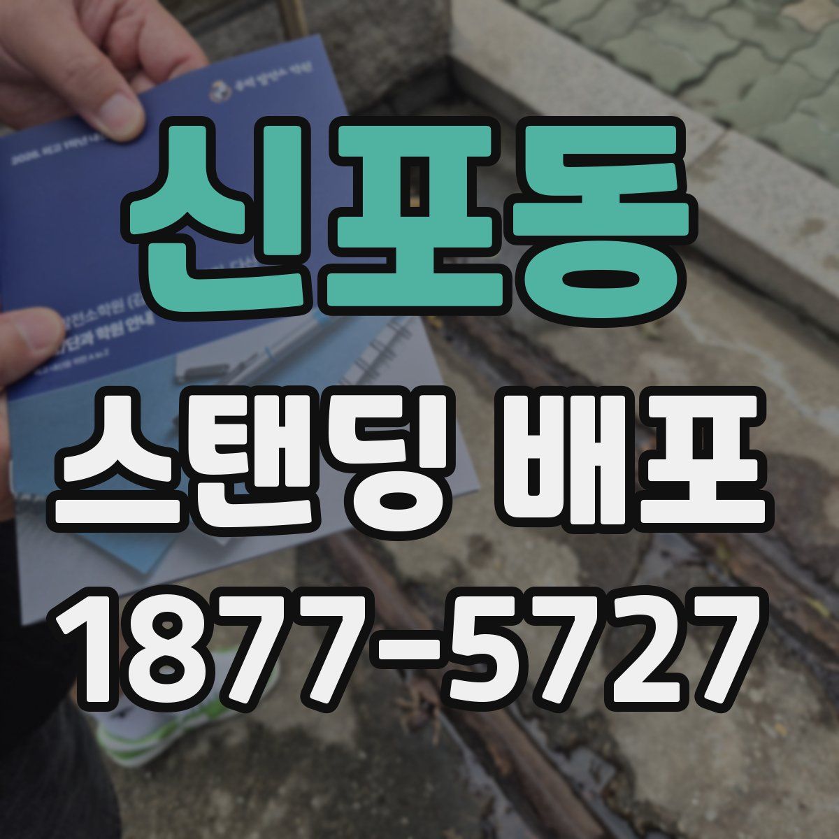 신포동 스탠딩 배포