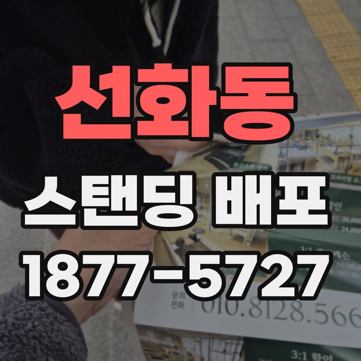 선화동 스탠딩 배포