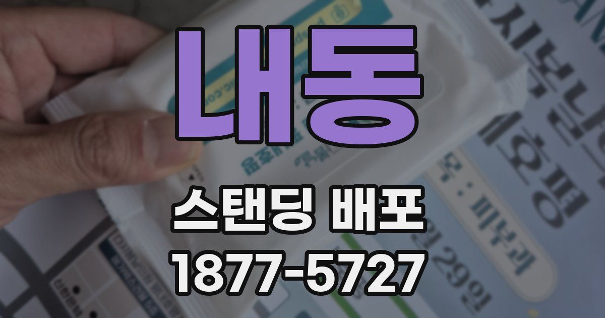 내동 스탠딩 배포