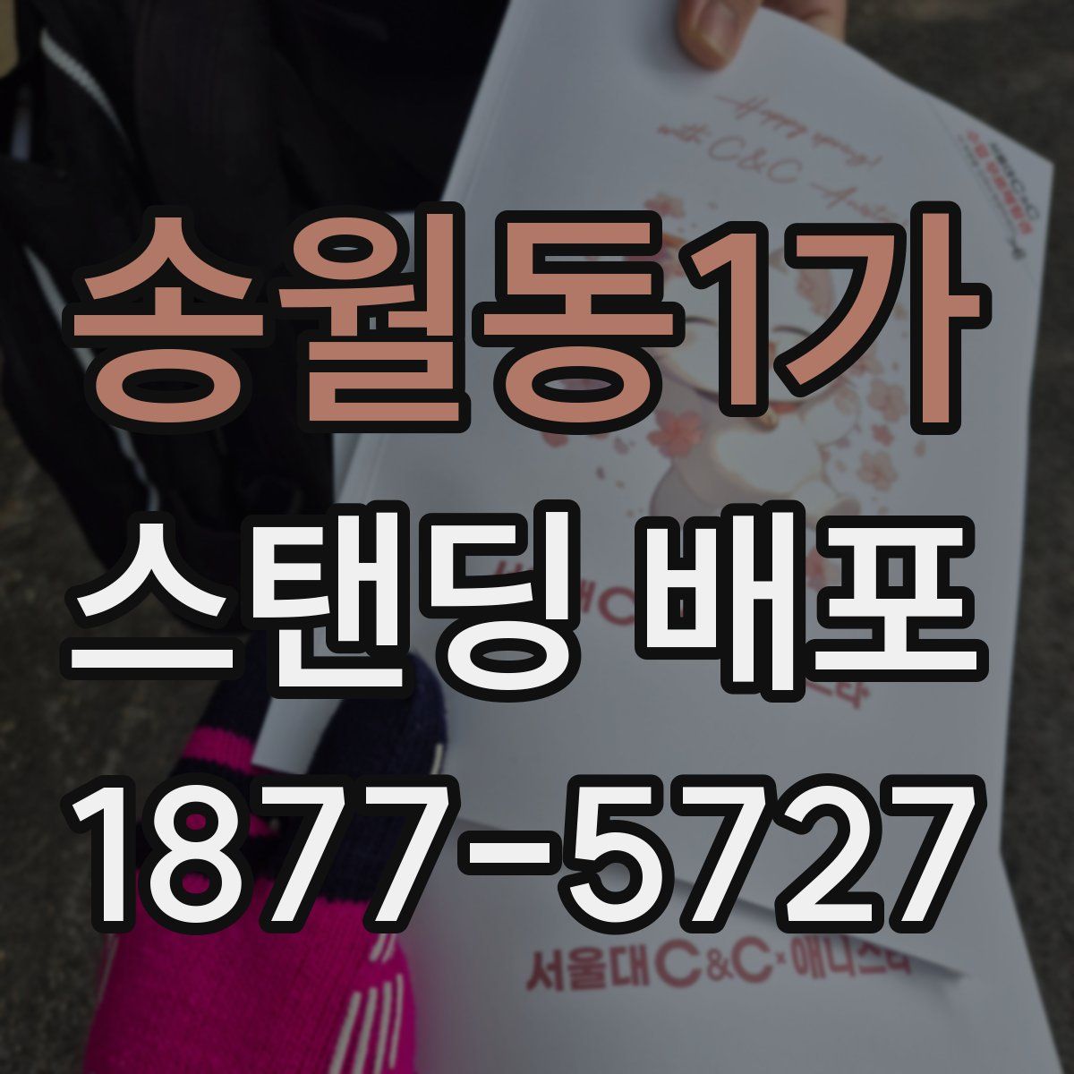 송월동1가 스탠딩 배포