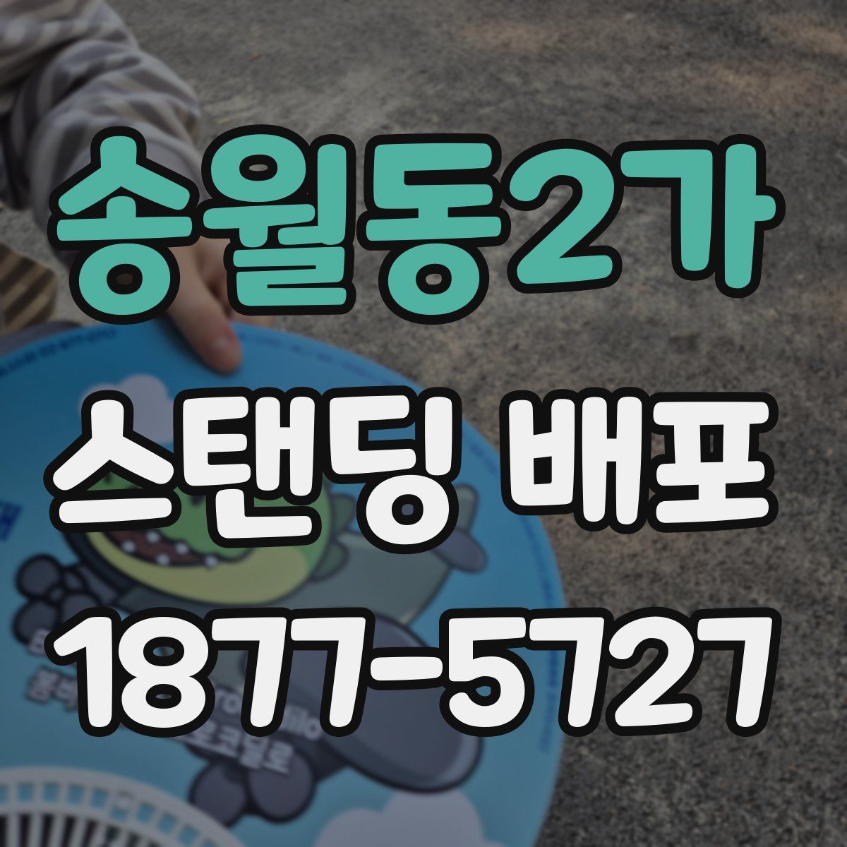 송월동2가 스탠딩 배포