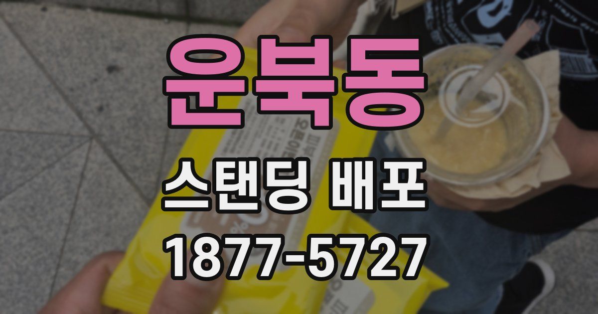 운북동 스탠딩 배포