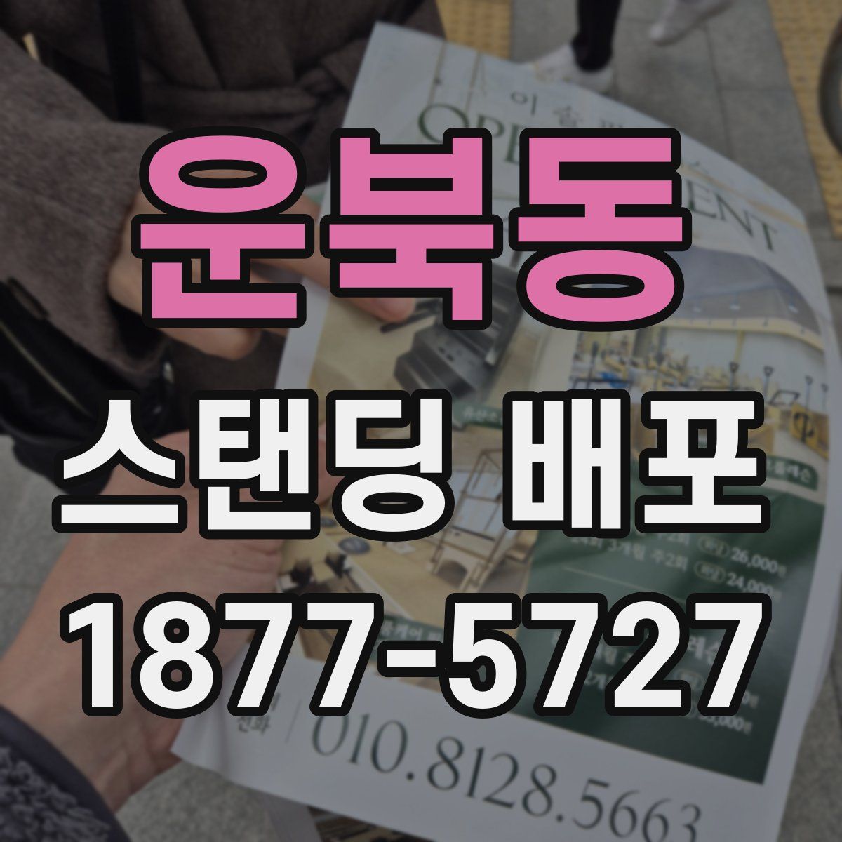 운북동 스탠딩 배포