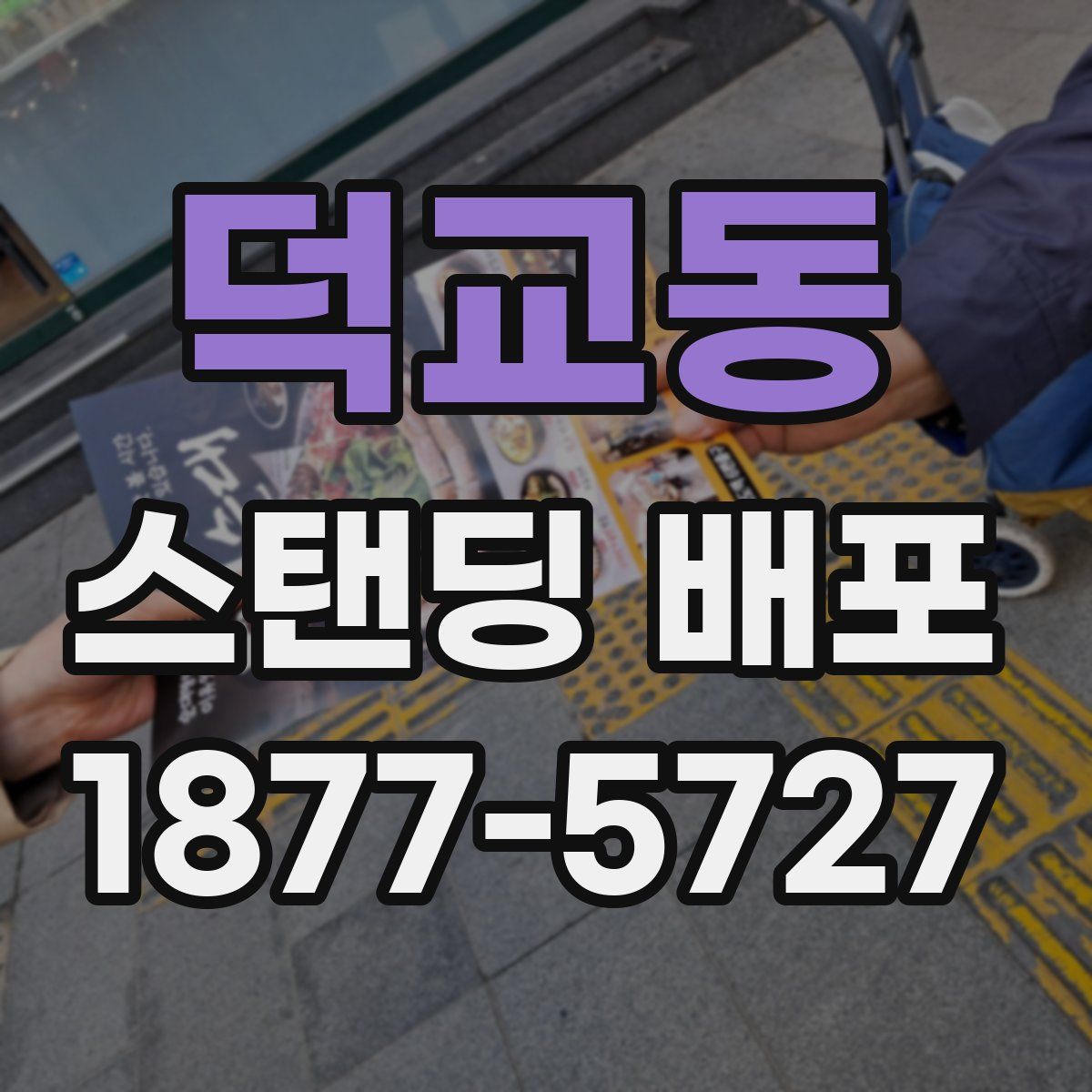 덕교동 스탠딩 배포