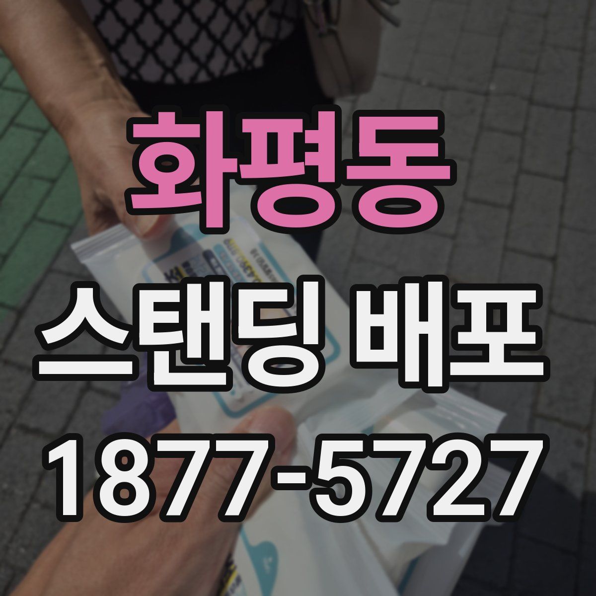 화평동 스탠딩 배포