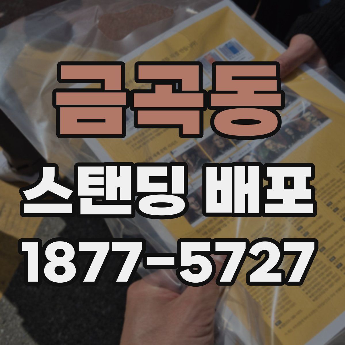금곡동 스탠딩 배포