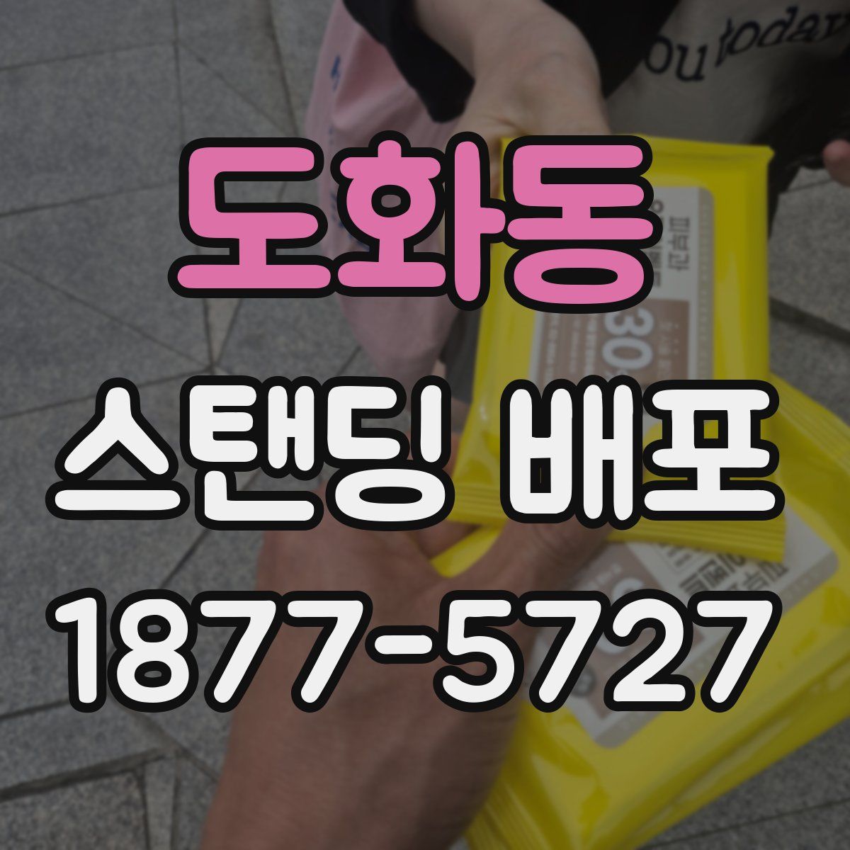 도화동 스탠딩 배포