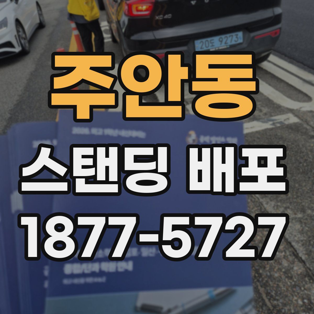 주안동 스탠딩 배포