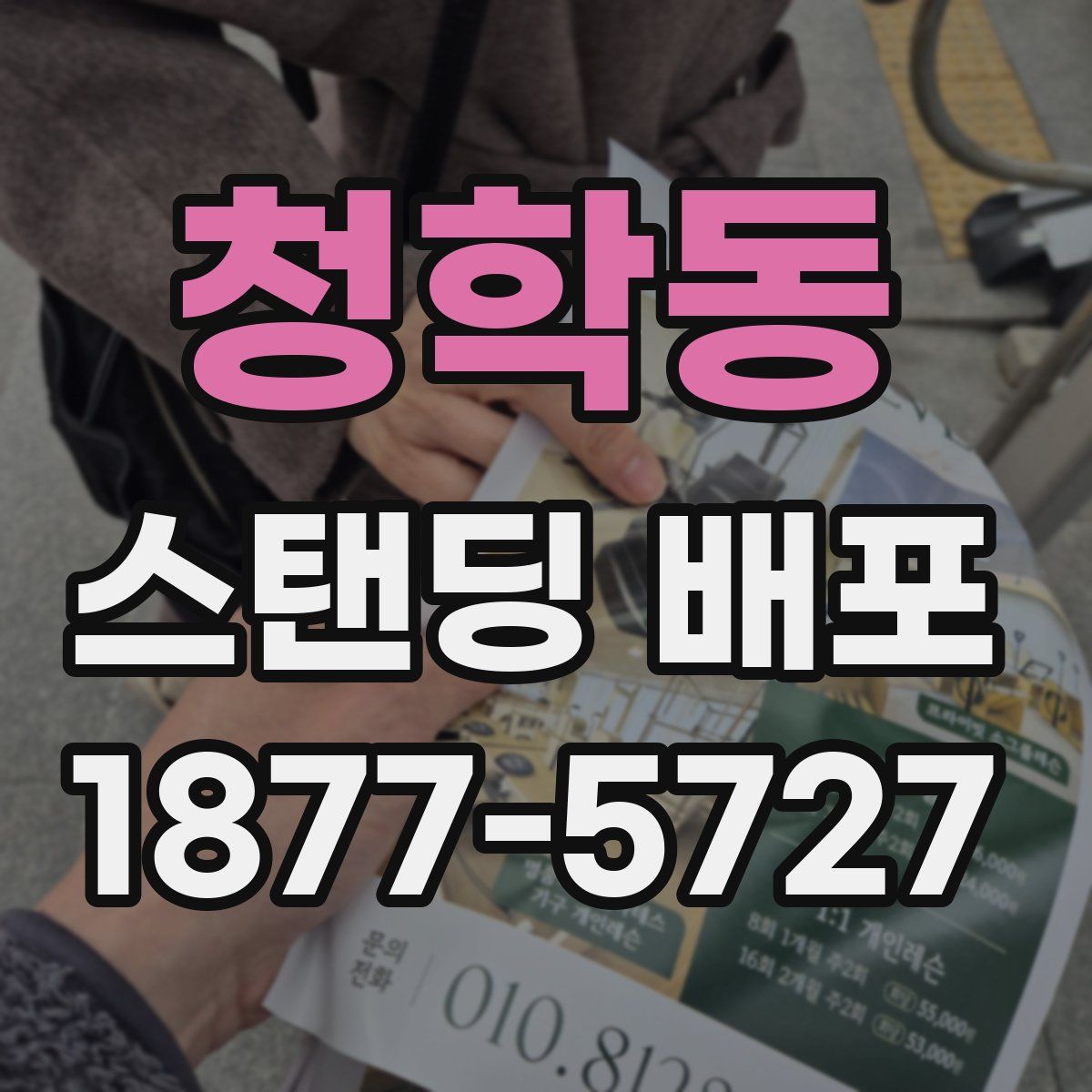 청학동 스탠딩 배포