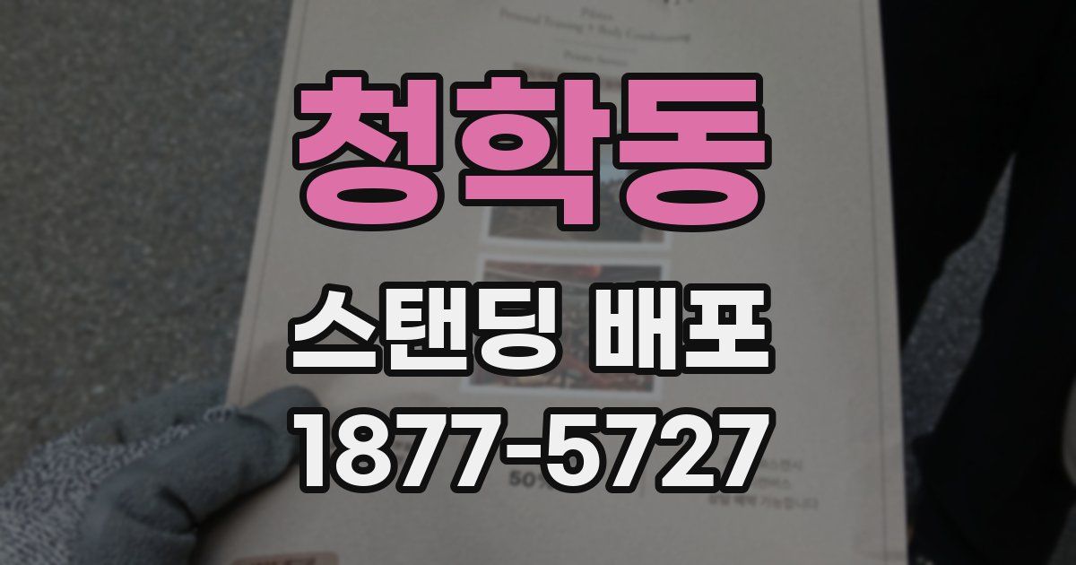 청학동 스탠딩 배포