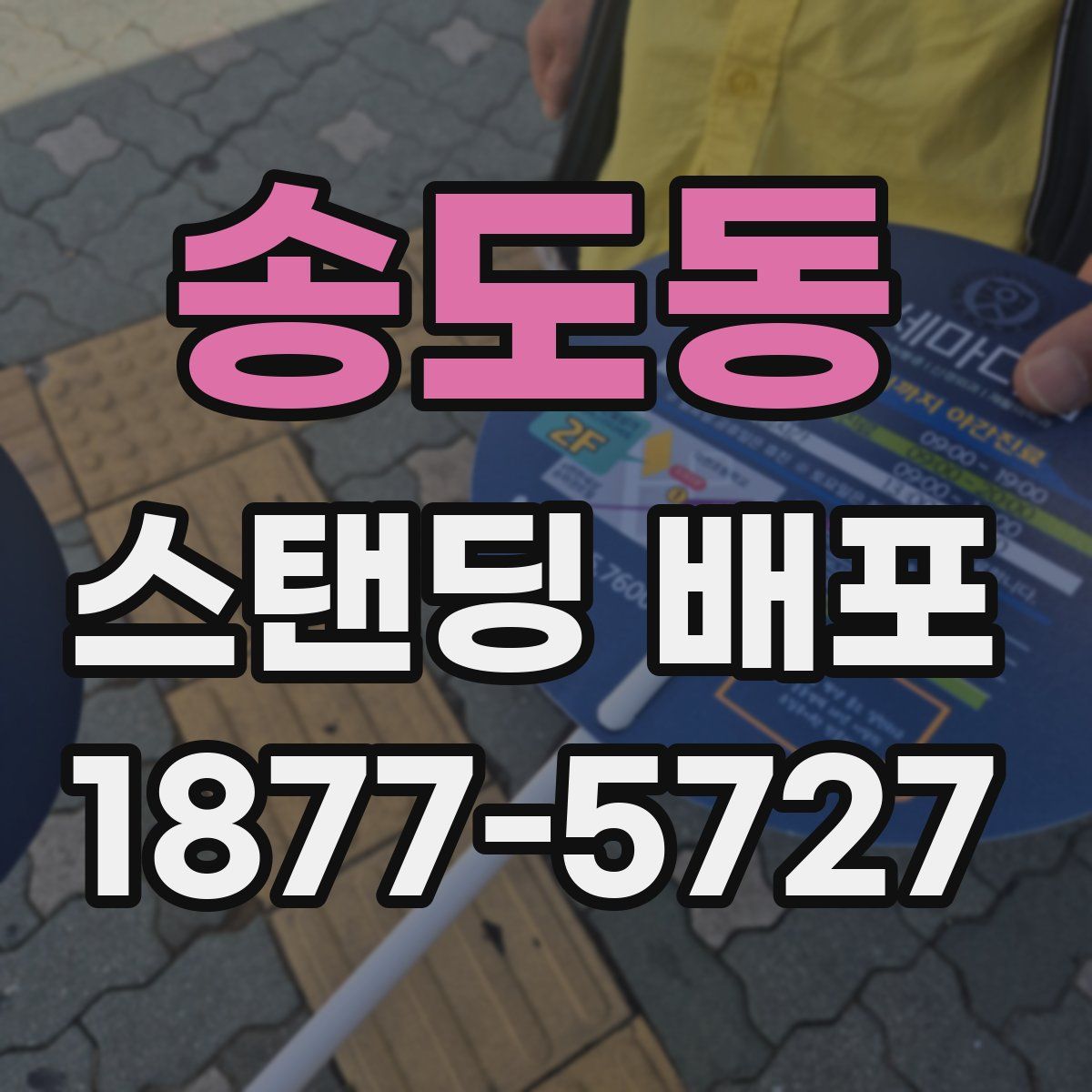 송도동 스탠딩 배포