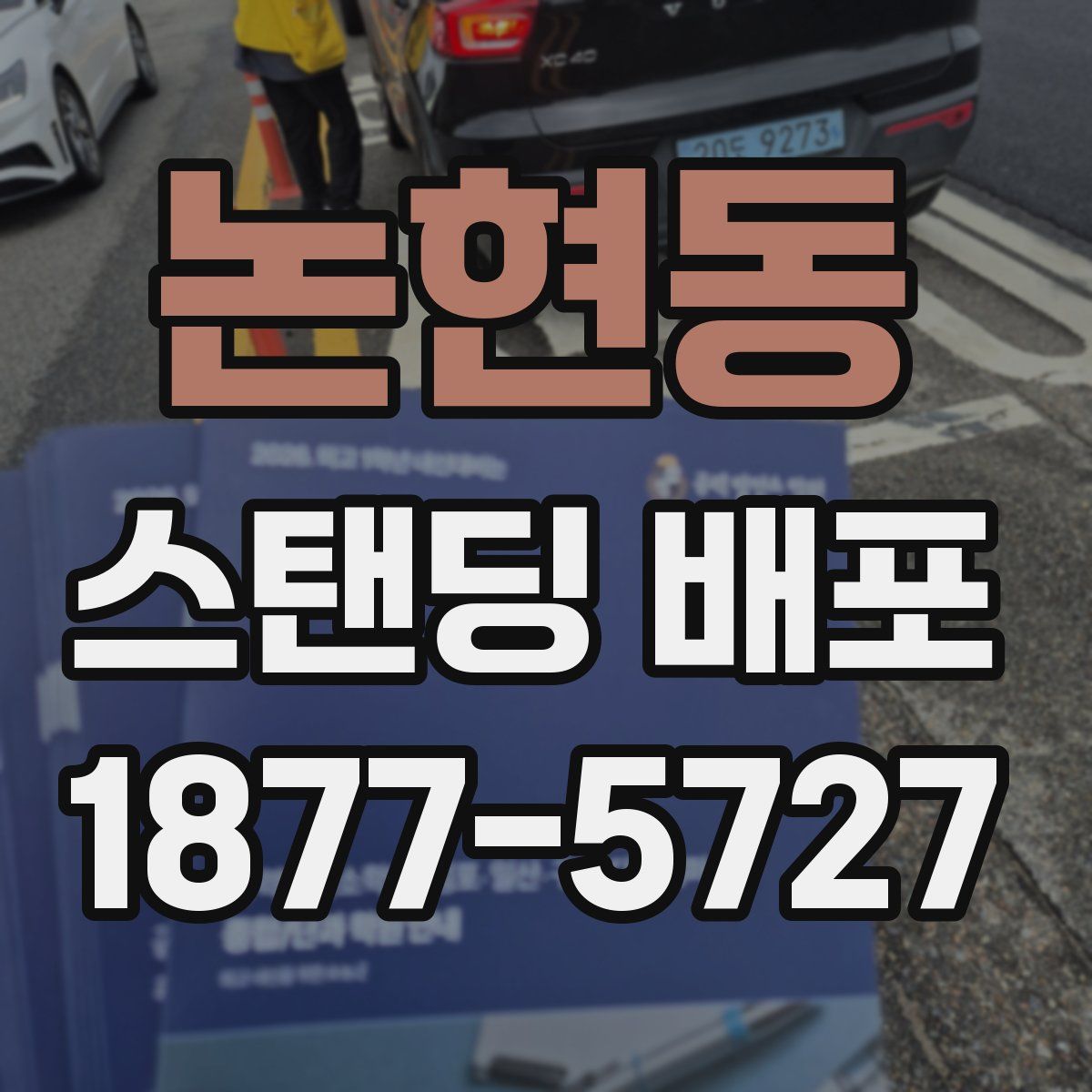 논현동 스탠딩 배포