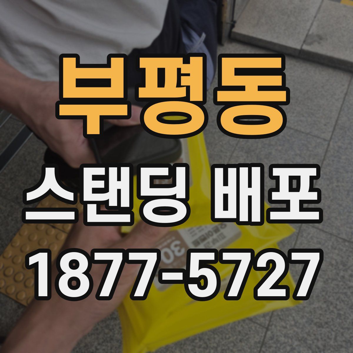 부평동 스탠딩 배포