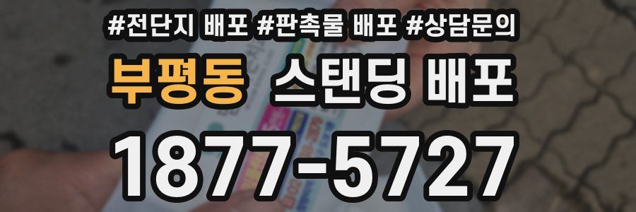 부평동 스탠딩 배포