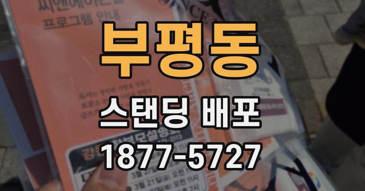 부평동 스탠딩 배포