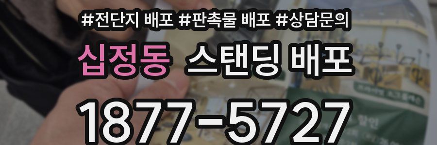십정동 스탠딩 배포
