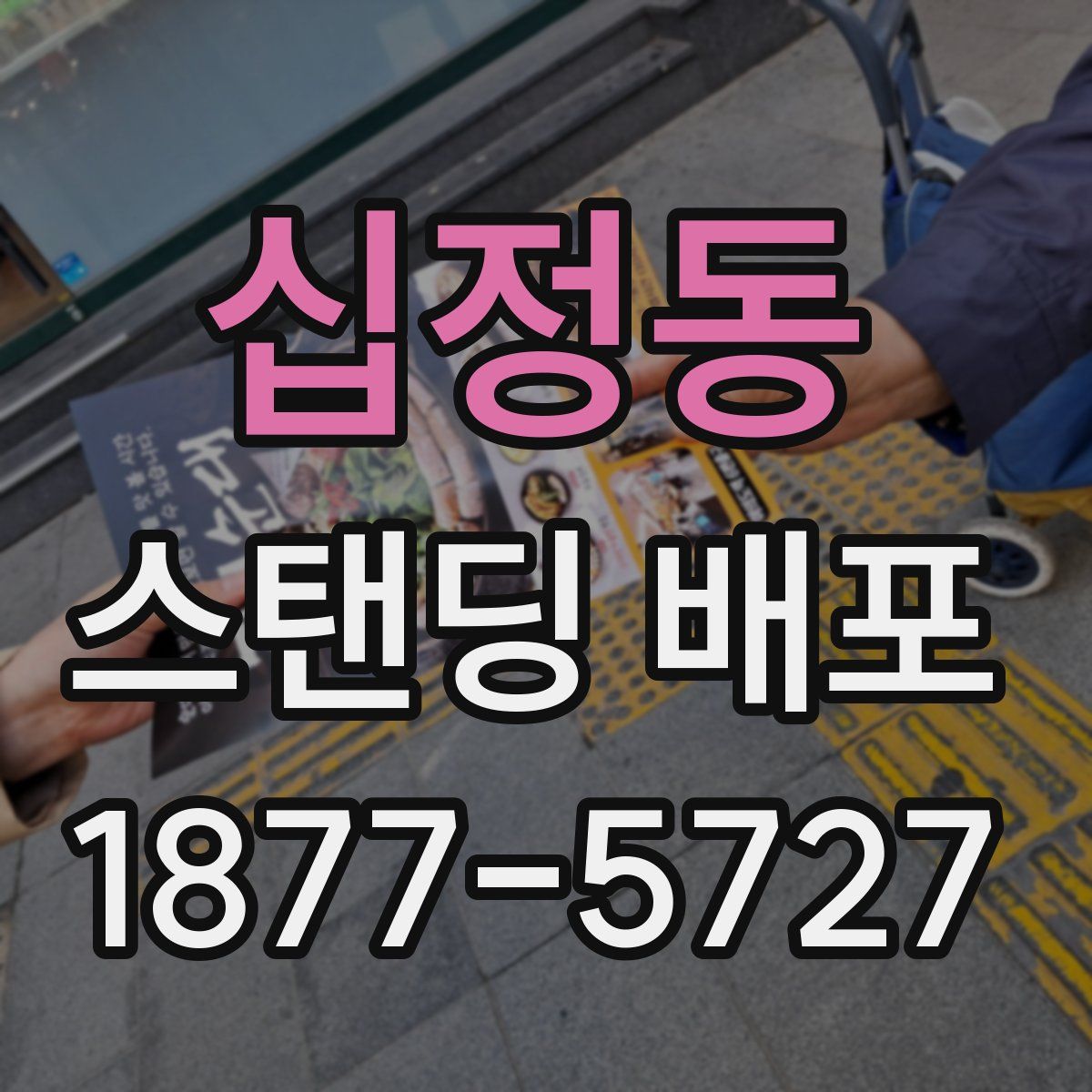 십정동 스탠딩 배포