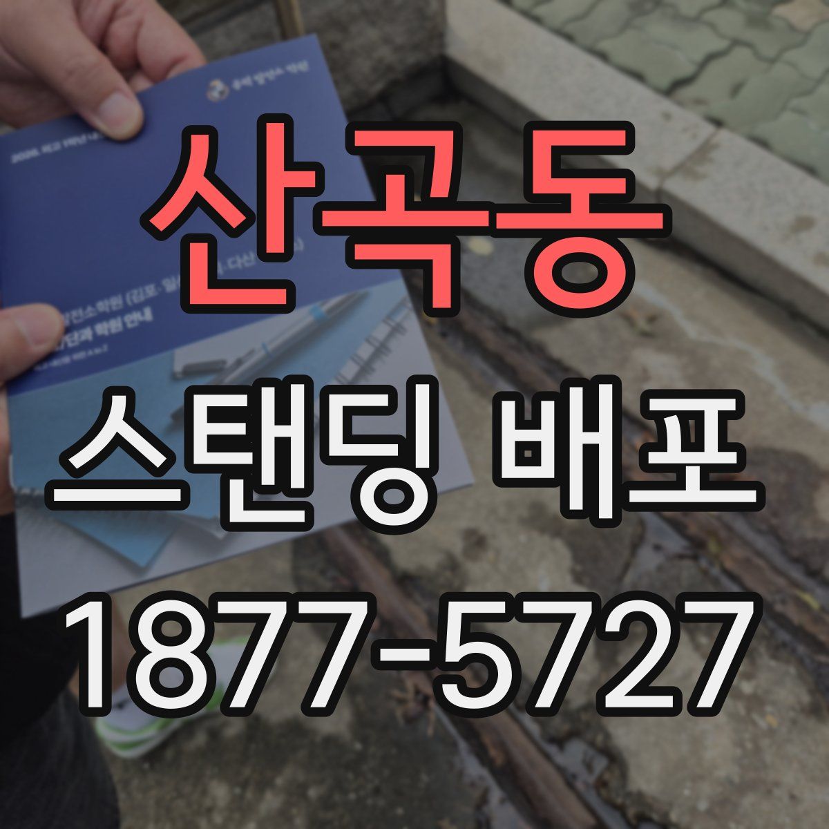 산곡동 스탠딩 배포