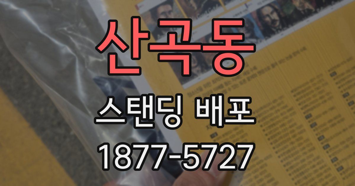 산곡동 스탠딩 배포