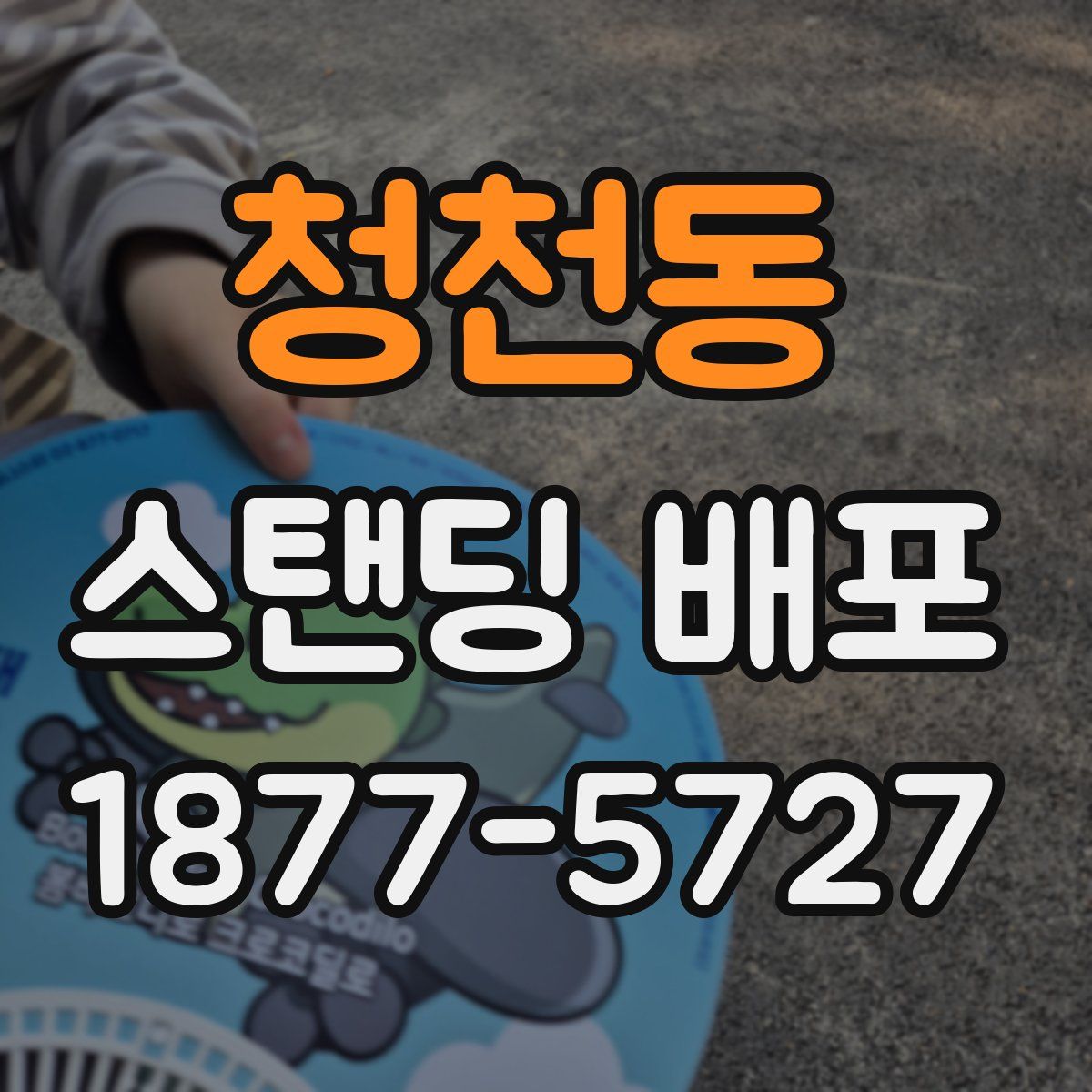 청천동 스탠딩 배포