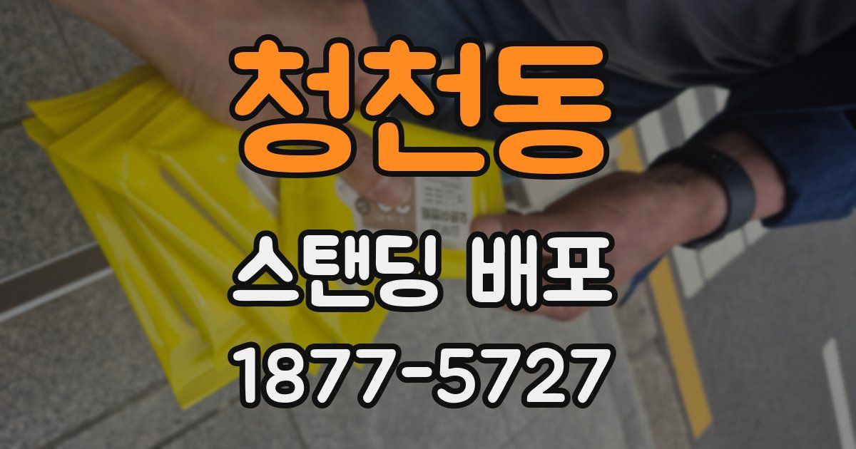 청천동 스탠딩 배포
