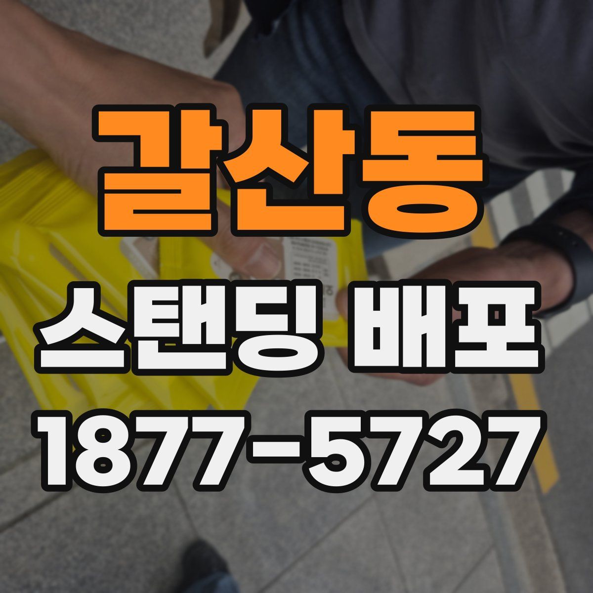 갈산동 스탠딩 배포