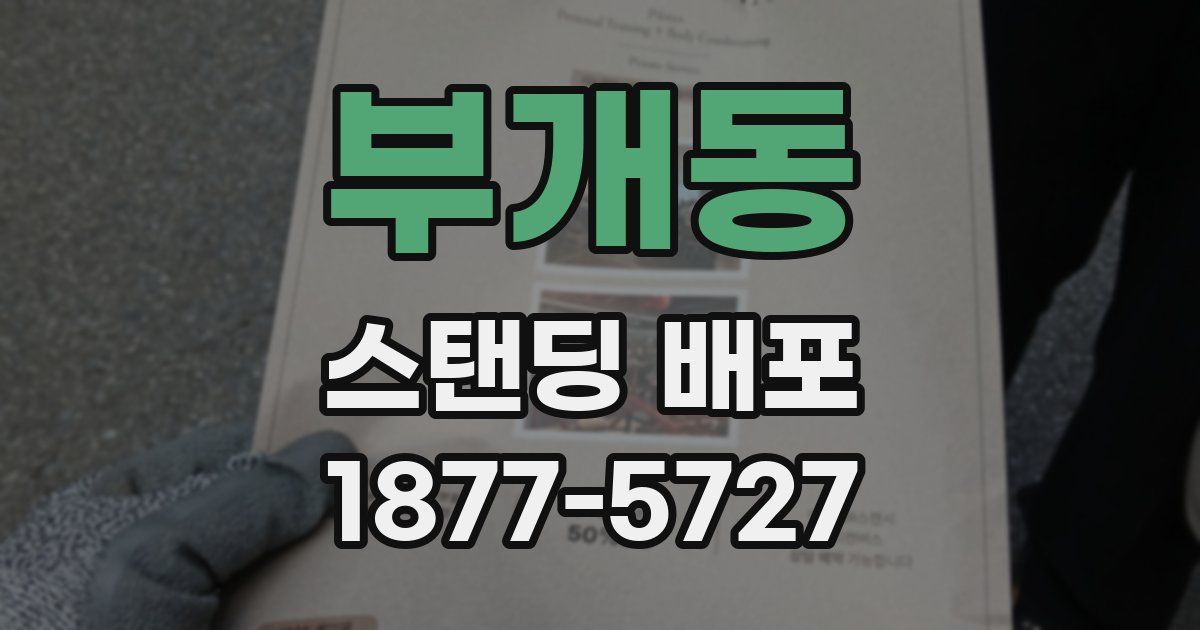 부개동 스탠딩 배포