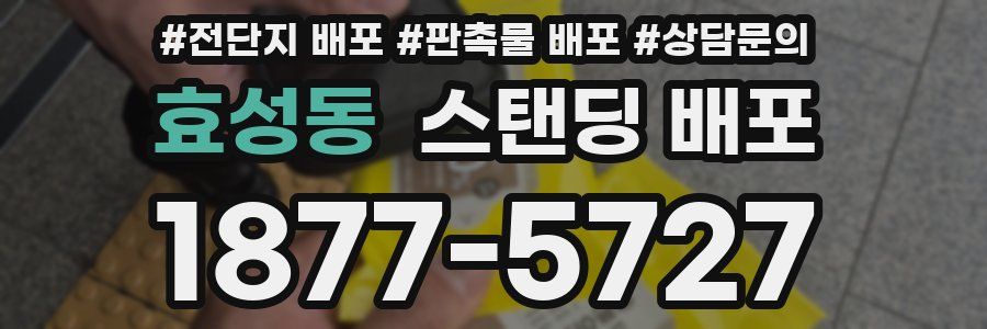 효성동 스탠딩 배포