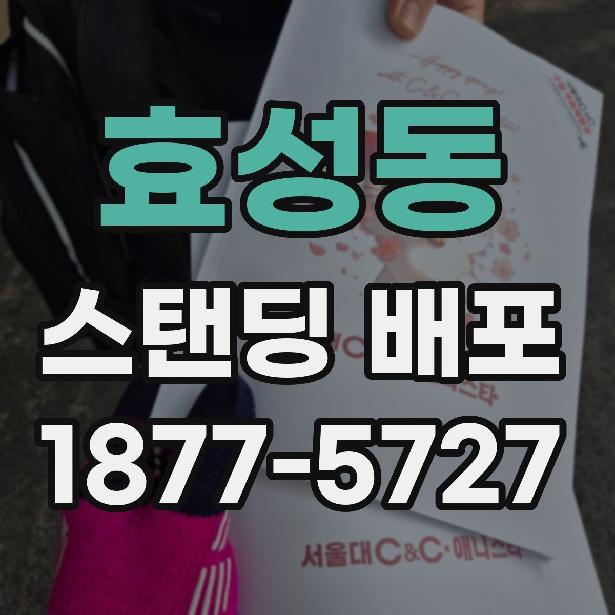 효성동 스탠딩 배포