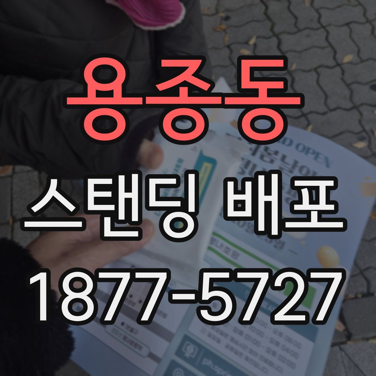 용종동 스탠딩 배포