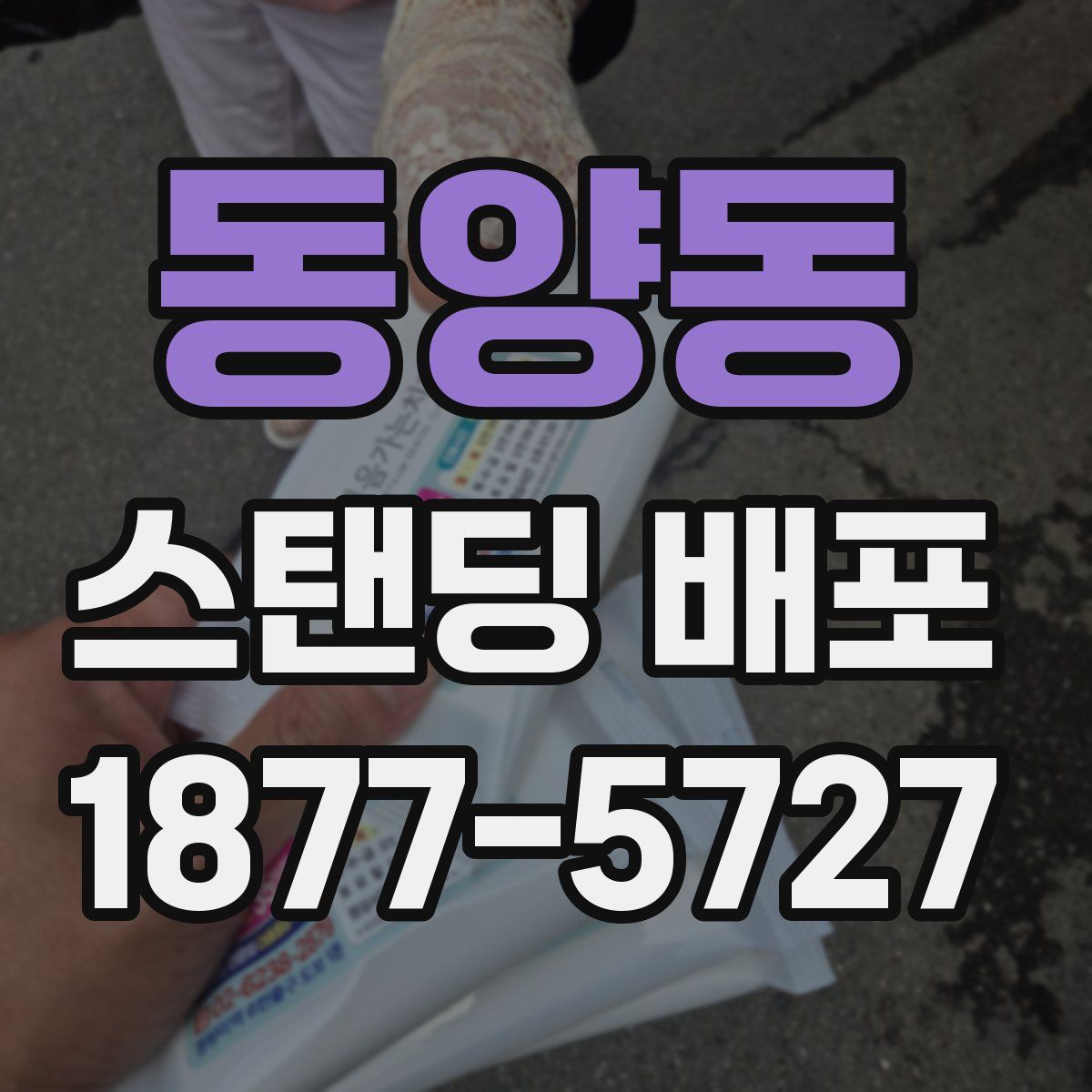 동양동 스탠딩 배포