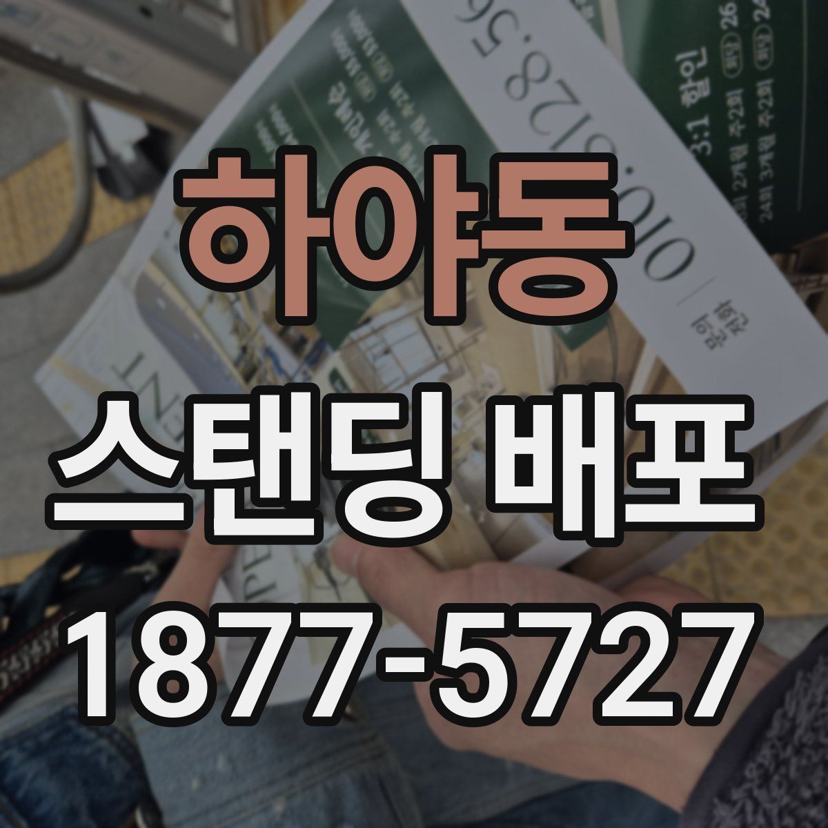 하야동 스탠딩 배포