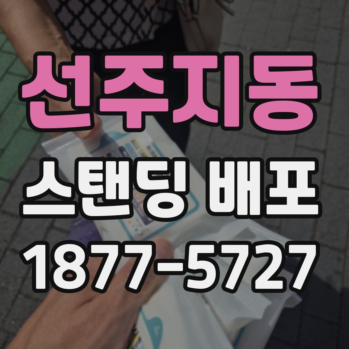 선주지동 스탠딩 배포