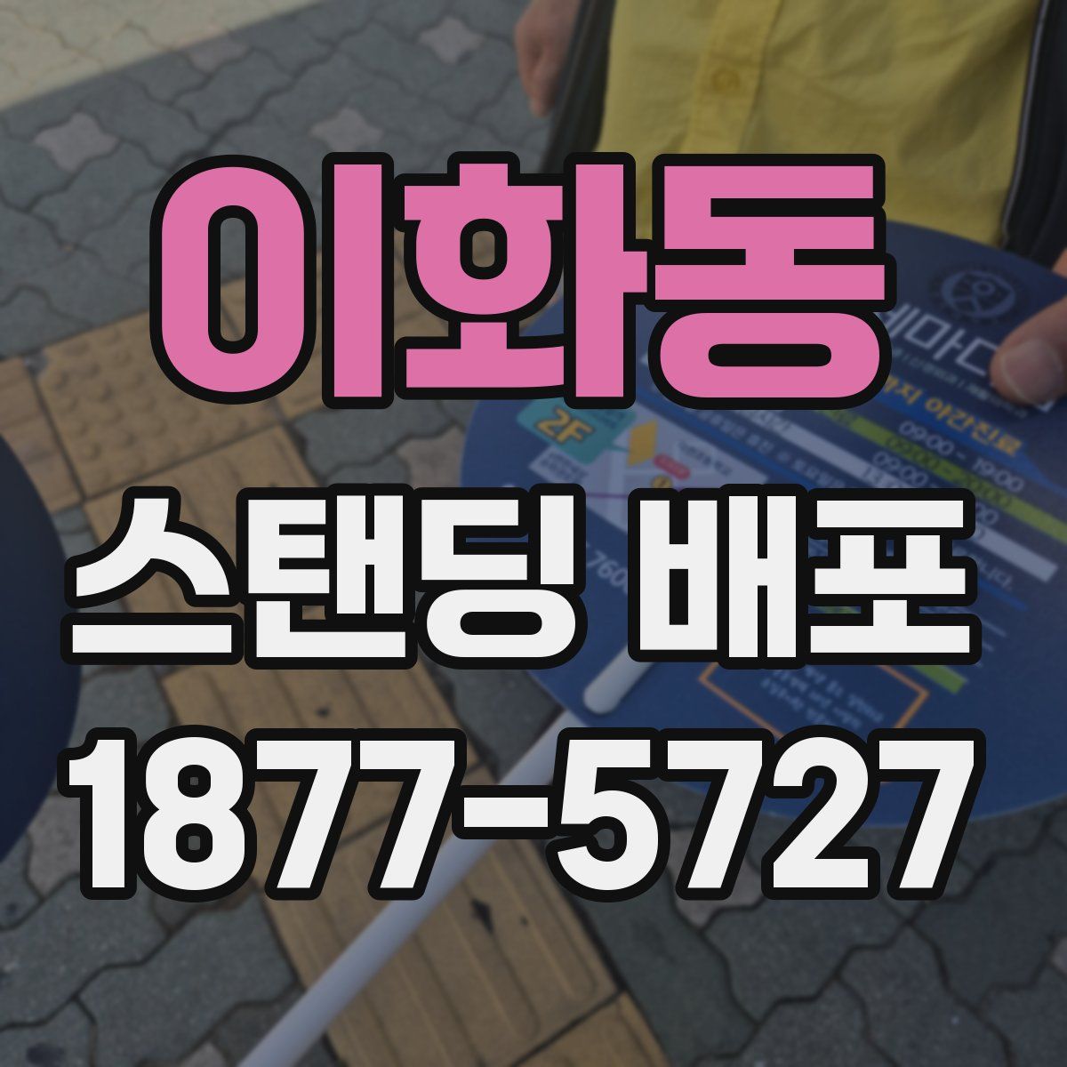이화동 스탠딩 배포