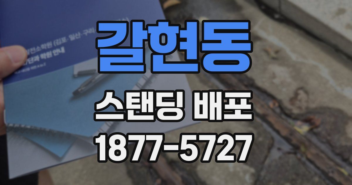 갈현동 스탠딩 배포